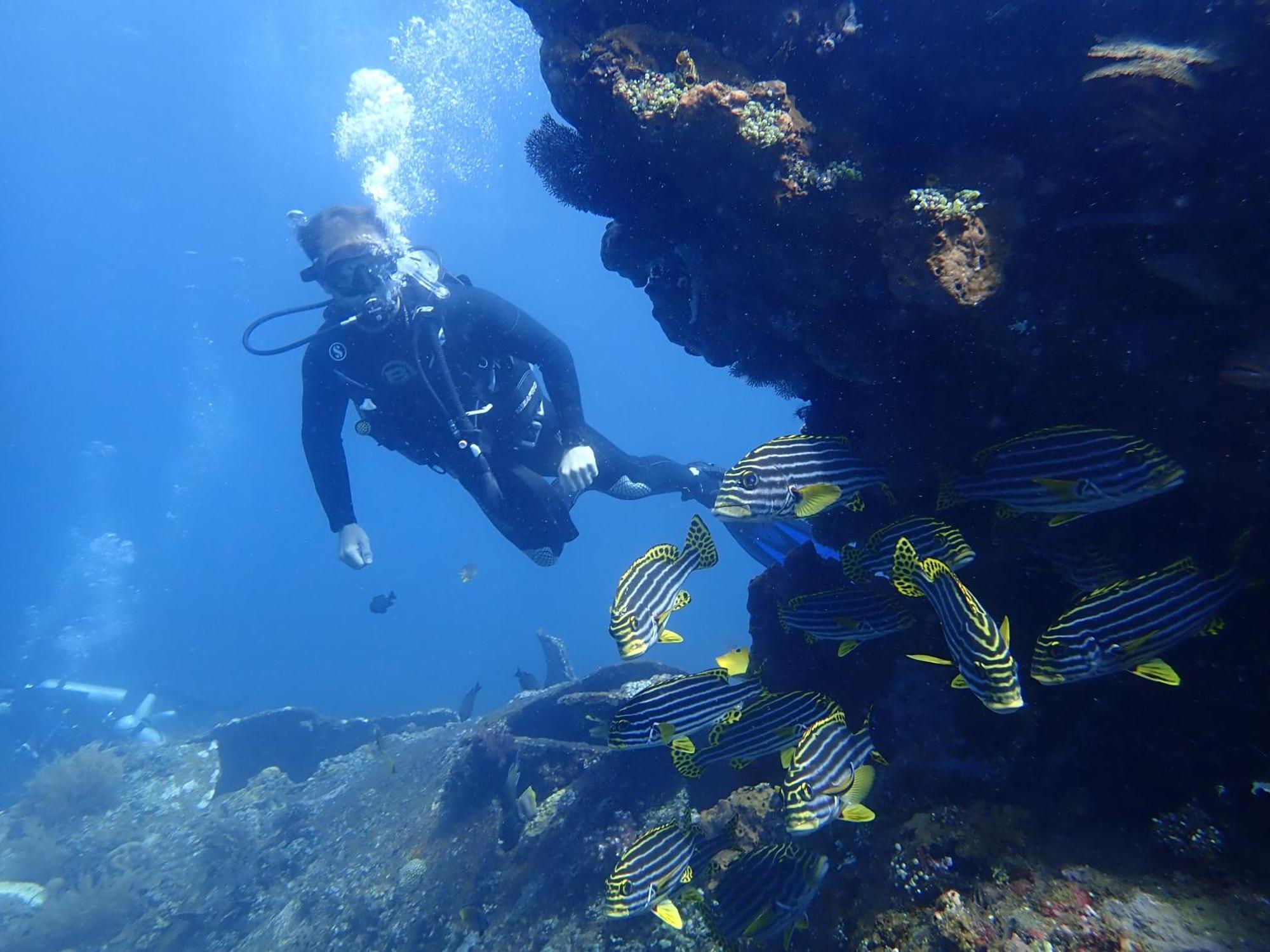 Palm Springs Bali Dive Resort Туламбен Экстерьер фото
